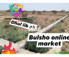 Dhulal iib  masalaha sky hotel 12*12m  = 144M2 LAND FOR SALE