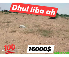 Dhul iib  hargaysa_ masalaha hotel guluf  (haf baloodh) LAND FOR SALE