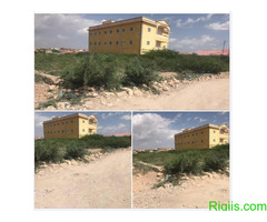 seddex baloodh oo iib ah  HARGAYSA SOMALILAND 24mx18m