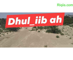 Dhul iib  with Fence masalaha sky hotel 12mx12m= 144M2 LAND FOR SALE