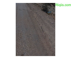 jago iiba  30mx30m = 900m2 Land for Sale - Image 3