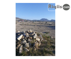 dhul iiba 15mx15m = 225m2