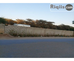 dhul iiba 15mx15m = 225m2