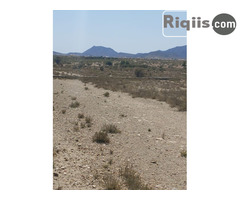 dhul iiba 30mx30m = 900m2