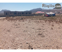 dhul iiba 15mx15m = 225m2