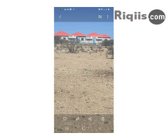 dhul iiba 30mx15m = 450m2