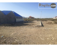 dhul iiba 15mx15m = 225m2