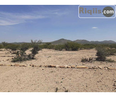 dhul iiba 30mx30m = 900m2