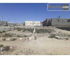 dhul iiba