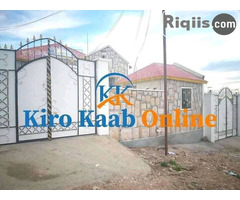 guri kiro ah