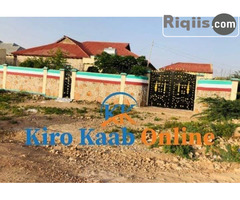 guri kiro ah