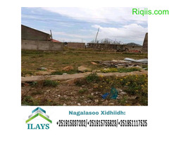 dhul iiba  cabirkiisu waa 500 oo kaaraamitir land for sale