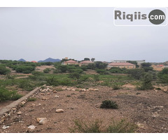 dhul iiba in borama