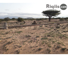 Dhul iib 80mx60m = 4800m2 Hargeisa land for sale - Image 2