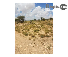 dhul iiba 90mx48m = 4320m2 hargeisa land for sale - Image 3