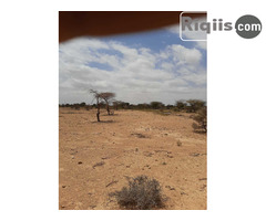 dhul iiba 45mx24m = 1080m2 hargeisa land for sale