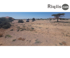 dhul iiba 18mx24m = 432m2 hargeisa land for sale