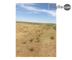 dhul iiba cabirkiisu waa 800 oo kaaraamitir jigjiga land for sale