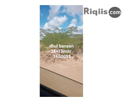 dhul iiba 24mx12m = 288m2 hargeisa land for sale